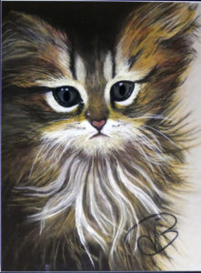 peinture pastel sec, animal, chaton