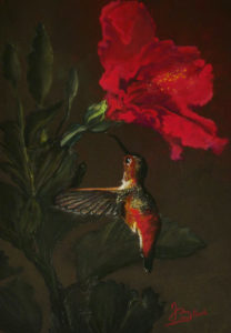 peinture, pastel sec, animal, colibri, fleur, hibiscus