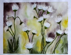 peinture aquarelle fleur pâquerettes