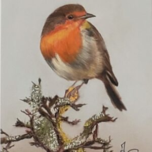 rouge gorge  oiseau peint aux pastels secs