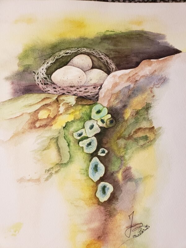 Aquarelle- Nid d'Oiseaux-30x40cm Aquarelle- Nid d'Oiseaux-30x40cm