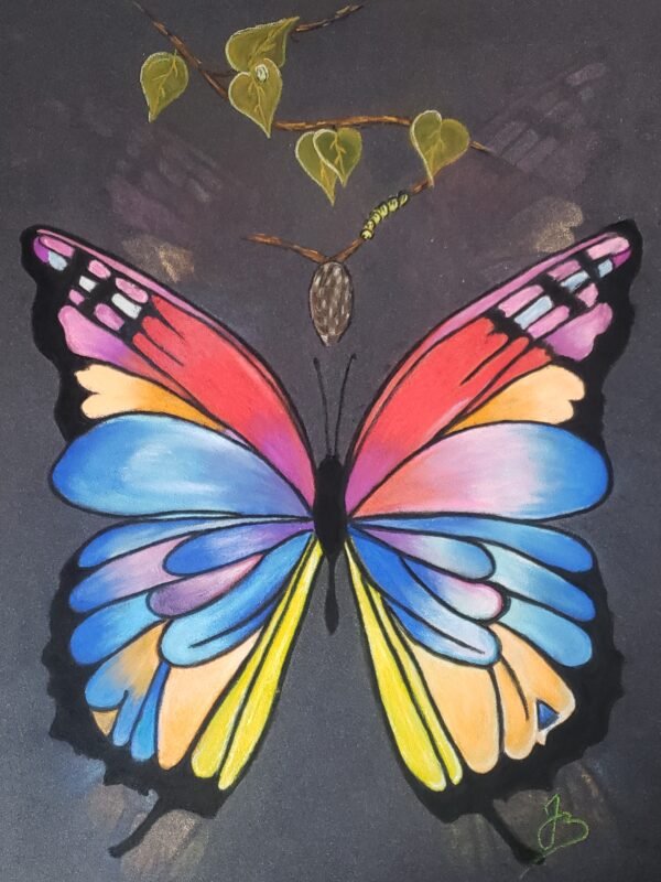 Pastels secs - La Metamorphose, papillon 40x50cm