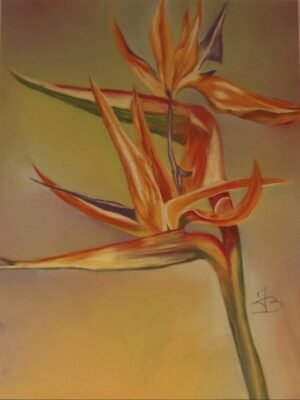 Pastels secs "Oiseau de paradis" la fleur 40x50cm