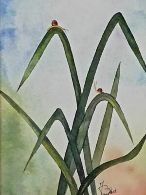 Aquarelle Rencontre d'escargots