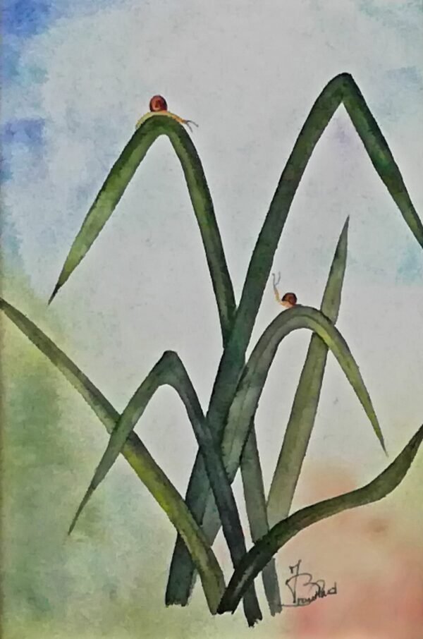 Aquarelle - Rencontre d''escargots Aquarelle Rencontre d'escargots