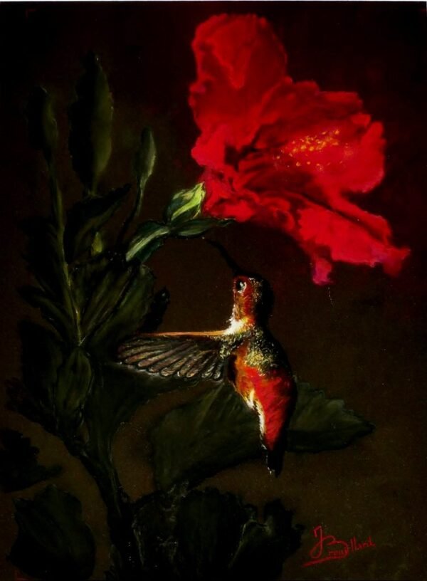 Pastels secs - Rencontre entre le Colibri et l'hibiscus 40x50cm