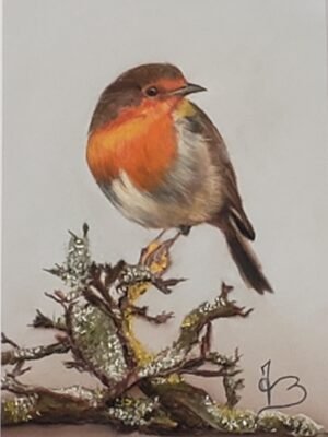 Pastels secs - Rouge gorge 30x40 cm