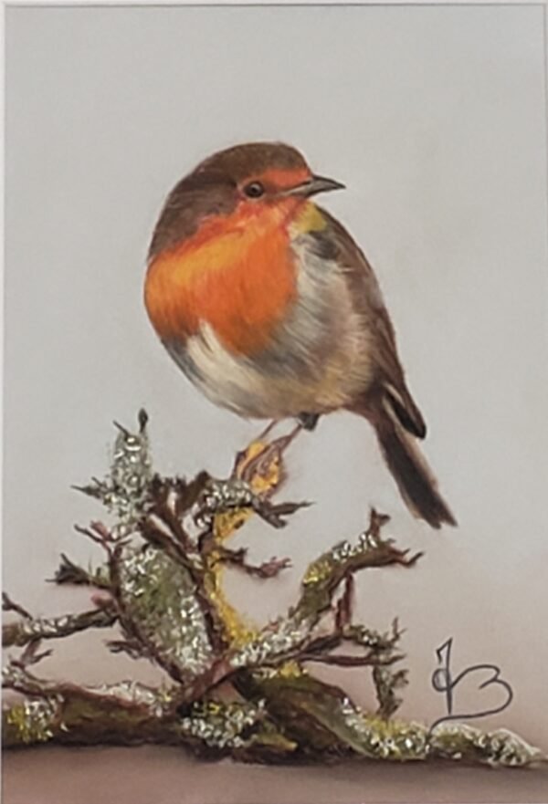 Pastels secs - Rouge gorge 30x40 cm